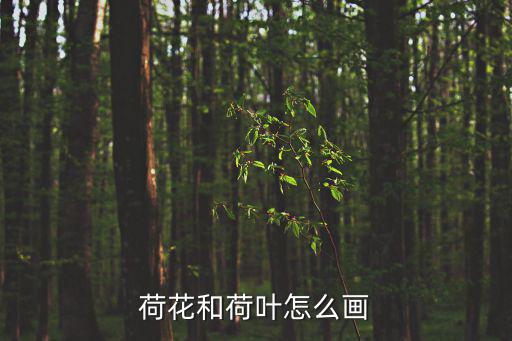 荷花和荷葉怎么畫