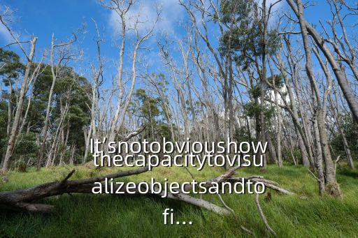 It’snotobvioushowthecapacitytovisualizeobjectsandtofi...