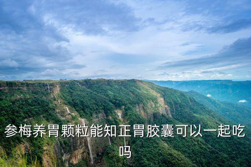 參梅養胃顆粒能知正胃膠囊可以一起吃嗎