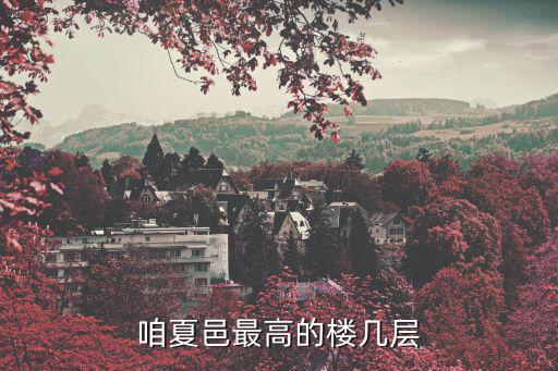 咱夏邑最高的樓幾層