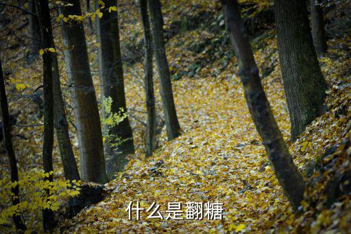 什么是翻糖蛋糕,最流行最熱門的裝飾蛋糕和禮典甜點!