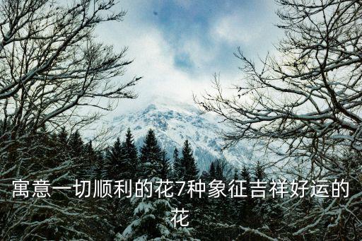 什么花寓意好,7種花寓意吉祥好運(yùn)