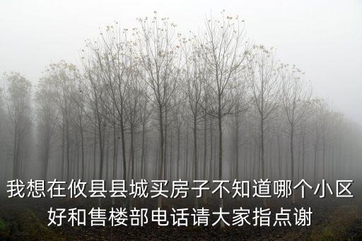 攸縣哪個小區房價最高，請問這是攸縣那個小區