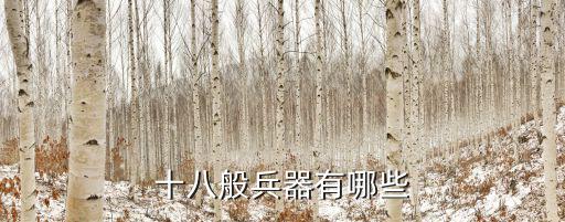 十八般武器,八種兵器是中華武藝象征還是傳統武器?