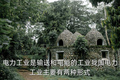 電力工業是輸送和電能的工業我國電力工業主要有兩種形式