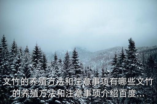 文竹的養(yǎng)殖方法和注意事項(xiàng)有哪些文竹的養(yǎng)殖方法和注意事項(xiàng)介紹百度...