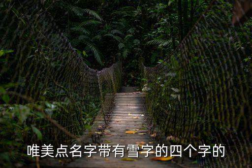 唯美點名字帶有雪字的四個字的