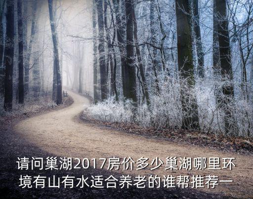 請問巢湖2017房價多少巢湖哪里環境有山有水適合養老的誰幫推薦一