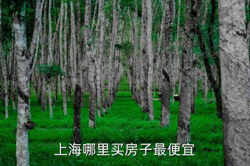 上海哪個區(qū)房價適中，上海哪里買房子最便宜