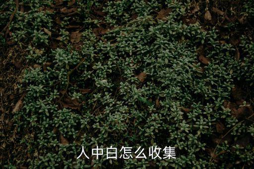 人中白怎么收集