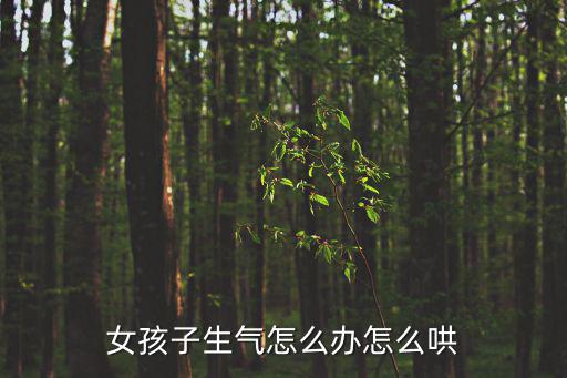 女人氣,女孩子生氣一定要哄哄她她會(huì)消氣的哦