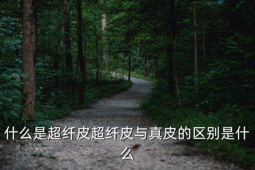 超纖皮,關于超纖皮和真皮你知道多少?