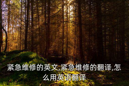 緊急維修的英文,緊急維修的翻譯,怎么用英語翻譯