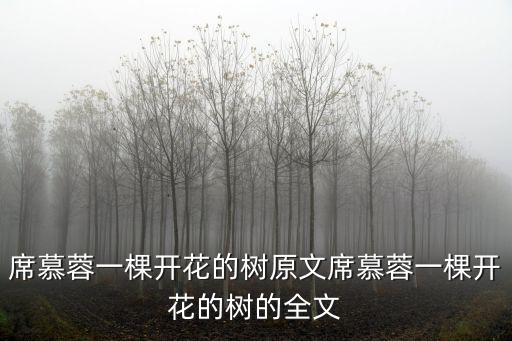 一顆開(kāi)花的樹(shù),開(kāi)花的樹(shù)