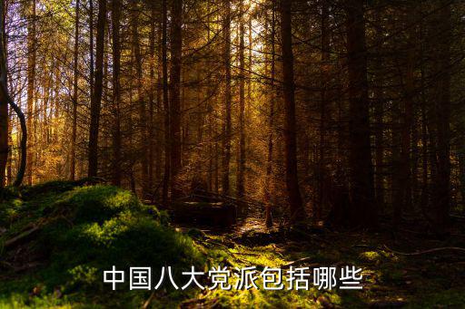 臺灣有哪些黨派,臺灣省有多少個政黨?筆者整理注冊意見