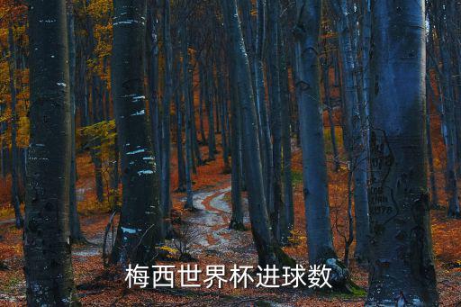 梅西世界杯進球數,梅西世界杯首球幾分鐘進第88分鐘入