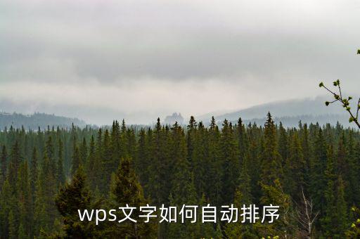 wps文字如何自動排序