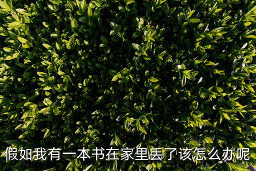 如果我是一本書,如果你是一本書