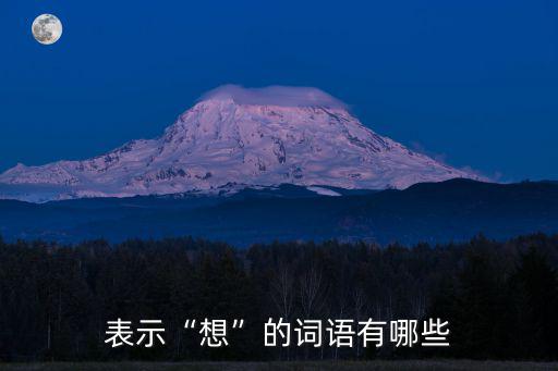 表示想的詞語,回顧（一）:從古到今的投票日