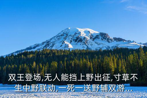 中野聯(lián)動(dòng),峽谷先鋒前期需要中單對(duì)線打野