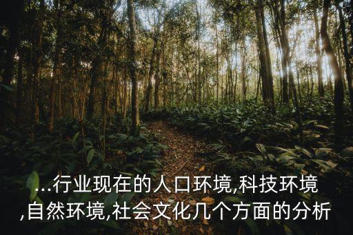 ...行業現在的人口環境,科技環境,自然環境,社會文化幾個方面的分析