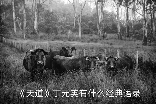 《天道》丁元英有什么經(jīng)典語(yǔ)錄