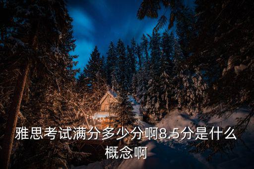 雅思考試滿分多少分啊8.5分是什么概念啊