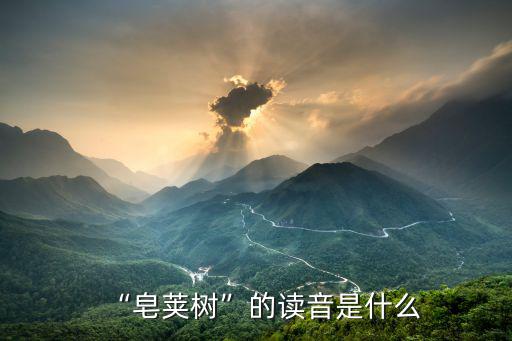 “皂莢樹”的讀音是什么