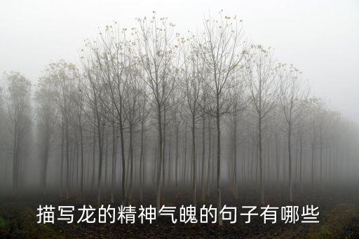 描寫龍的精神氣魄的句子有哪些