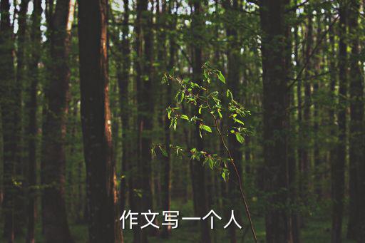 作文寫(xiě)一個(gè)人