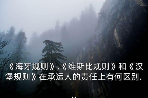 《海牙規則》,《維斯比規則》和《漢堡規則》在承運人的責任上有何區別...