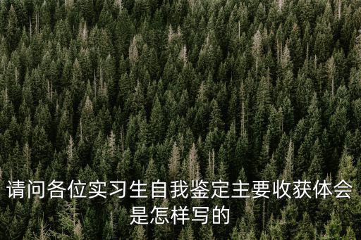 請(qǐng)問(wèn)各位實(shí)習(xí)生自我鑒定主要收獲體會(huì)是怎樣寫(xiě)的