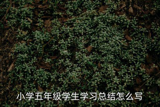 學(xué)習(xí)小結(jié)怎么寫,學(xué)習(xí)了什么?學(xué)習(xí)計(jì)劃怎么寫?