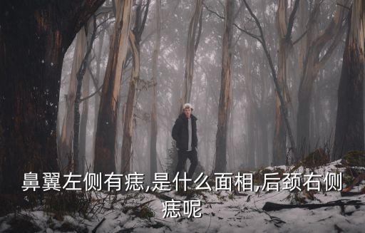 鼻翼左側(cè)有痣,是什么面相,后頸右側(cè)痣呢