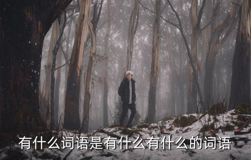 有什么詞語是有什么有什么的詞語