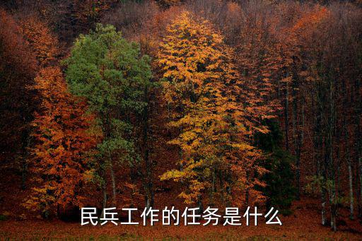 民兵整組,社區(qū)民兵是什么?