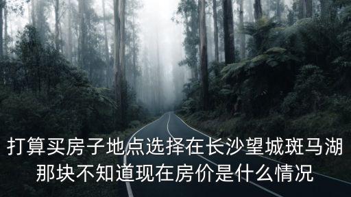 打算買房子地點選擇在長沙望城斑馬湖那塊不知道現在房價是什么情況