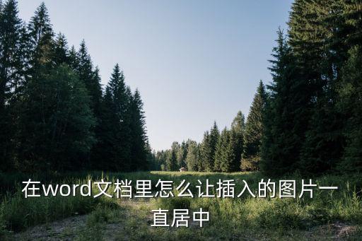 在word文檔里怎么讓插入的圖片一直居中