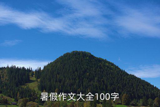 暑假作文大全100字