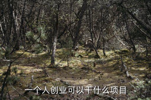 個人創業,教育行業加盟項目有哪些選擇?