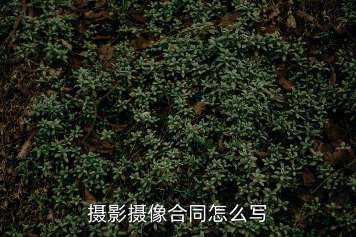 攝影攝像合同怎么寫