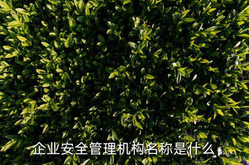 企業(yè)安全管理機(jī)構(gòu)名稱是什么