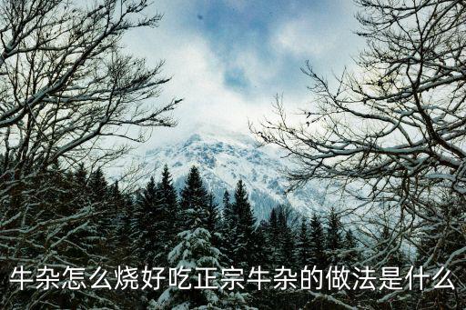 牛雜怎么燒好吃正宗牛雜的做法是什么