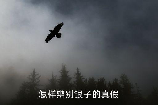 如何鑒別銀的真假,怎么辨別純銀首飾真假?聽聲韻!
