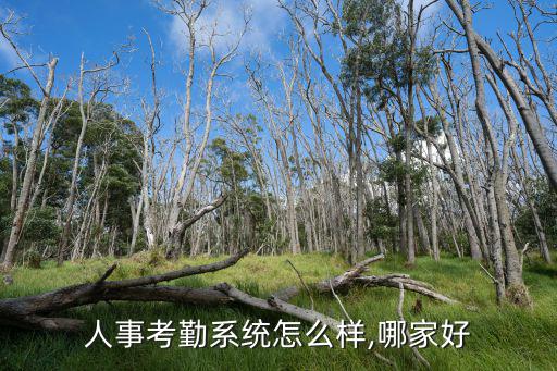 人事考勤系統(tǒng)怎么樣,哪家好
