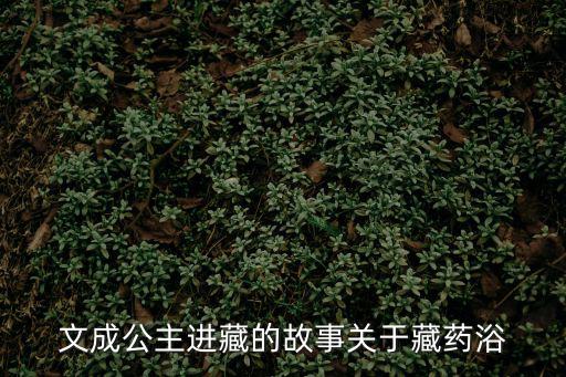 文成公主進藏的故事關于藏藥浴