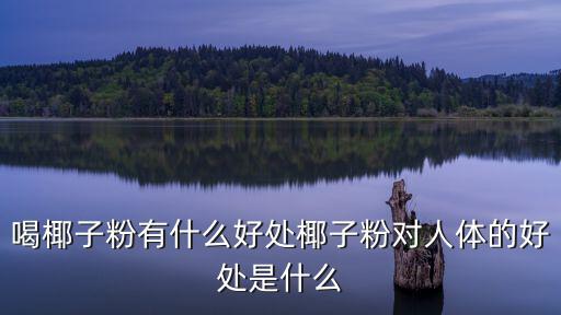 喝椰子粉有什么好處椰子粉對人體的好處是什么