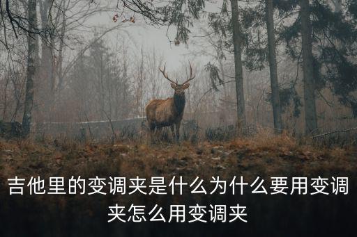 變調夾怎么用,吉他變調夾怎么用?注意事項1.1）