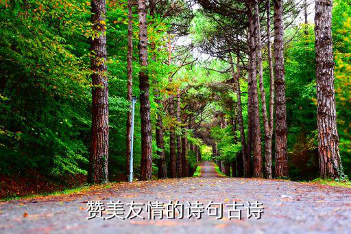 贊美朋友的詩句,十首詩贊美友情:與子同袍、與君憐我夢相聞