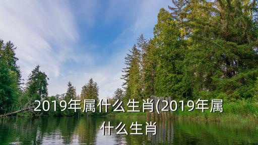 2019年屬什么生肖(2019年屬什么生肖